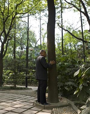 Tree Hugger_Fuxing Park_Q6R1989