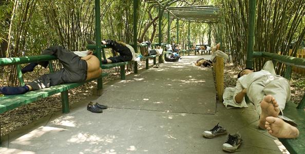 Workers Sleeping on Break_Weihai Lu_ W2A0861